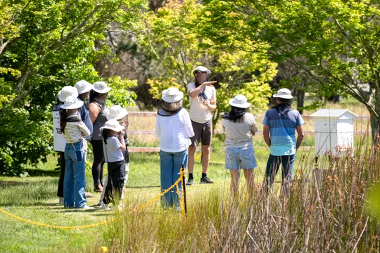 Bowral Hands-On Honey Harvest Experience - 90 Minutes