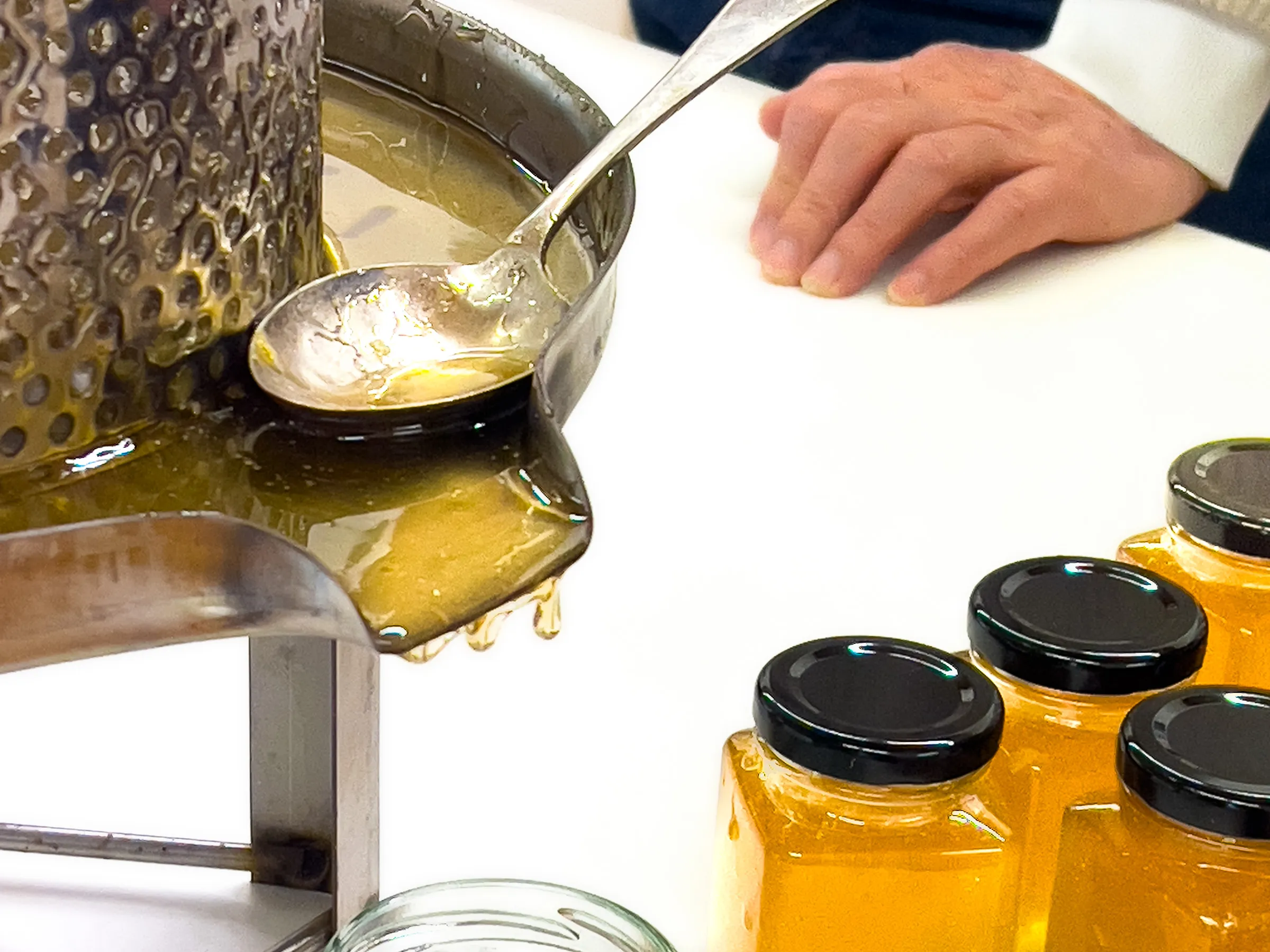 Bowral Honey Harvesting Experience - 90 Minutes | Experience Oz-5