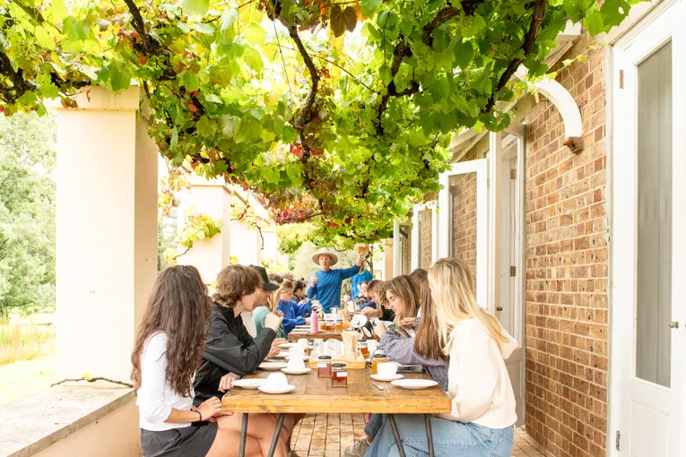 Bowral Honey Harvesting Experience - 90 Minutes | Experience Oz