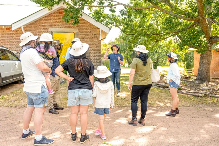 Bowral Honey Harvesting Experience - 90 Minutes | Experience Oz