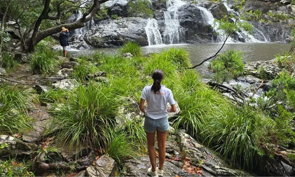 4WD Hinterland Adventure Tour, Full Day - Sunshine Coast