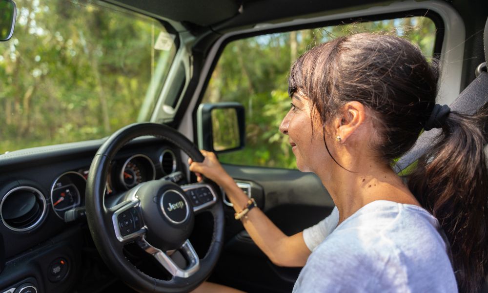 4WD Waterfalls Adventure & Picnic, Full Day - Sunshine Coast