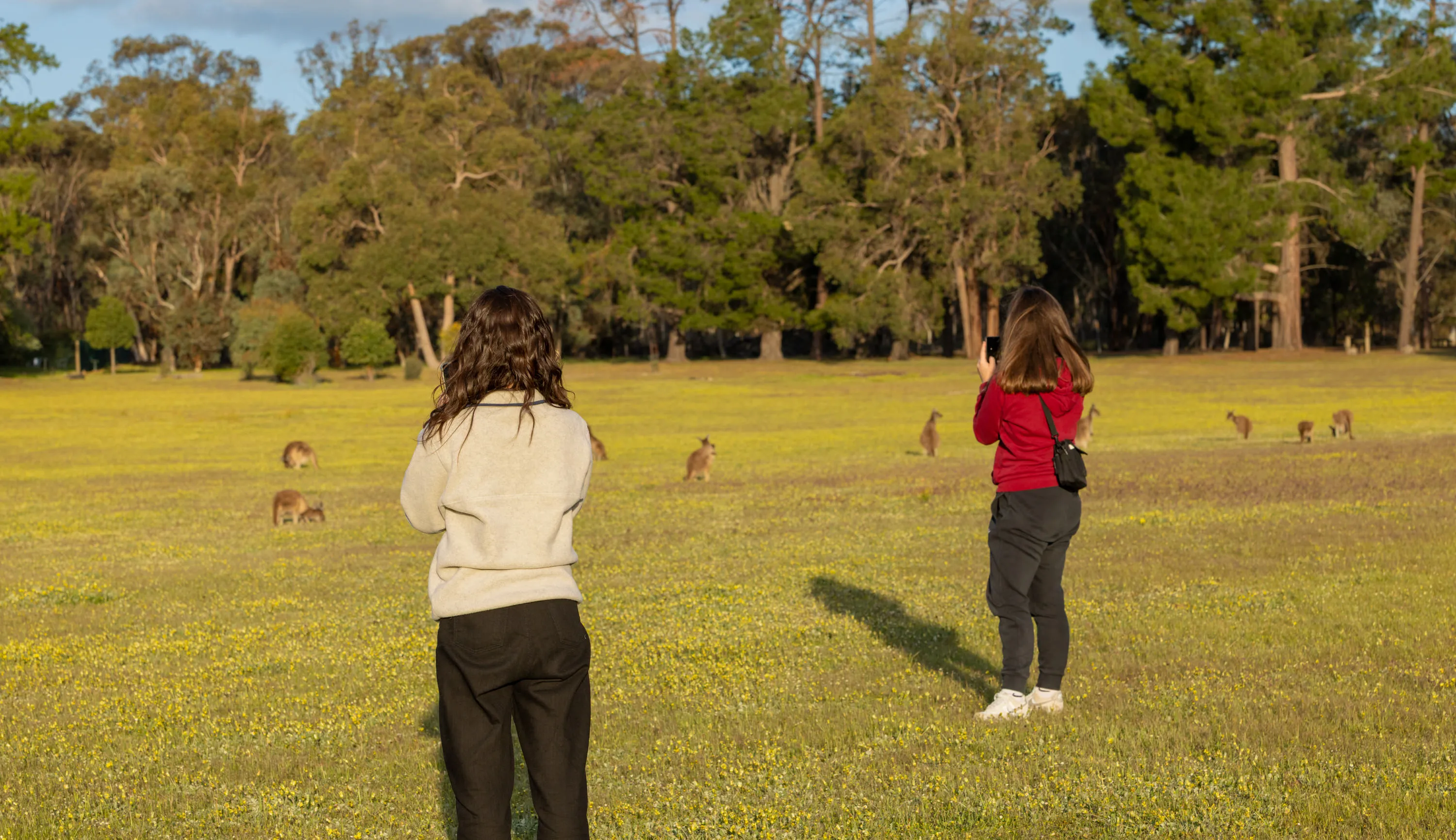 Wildlife Tour, Dinner & Stargazing from Perth | Experience Oz-5