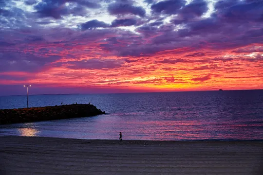 Swan River & Perth Coast Tour with Picnic & Wine - Half Day