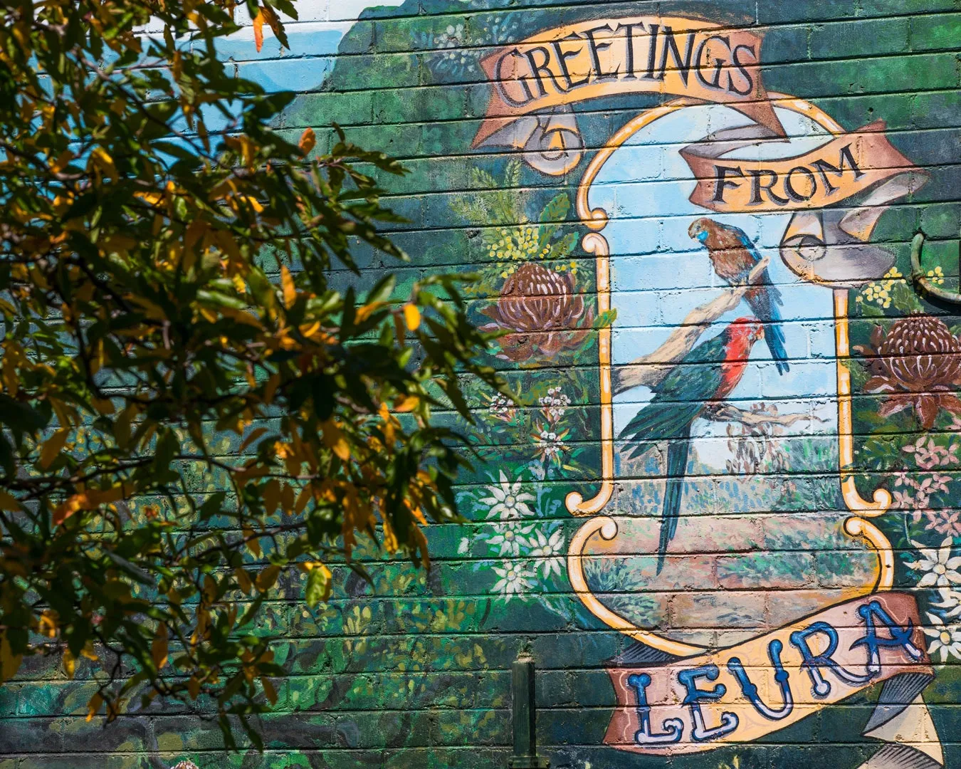 Blue Mountains Scenic World & Tour with Transfers | Experience Oz-8