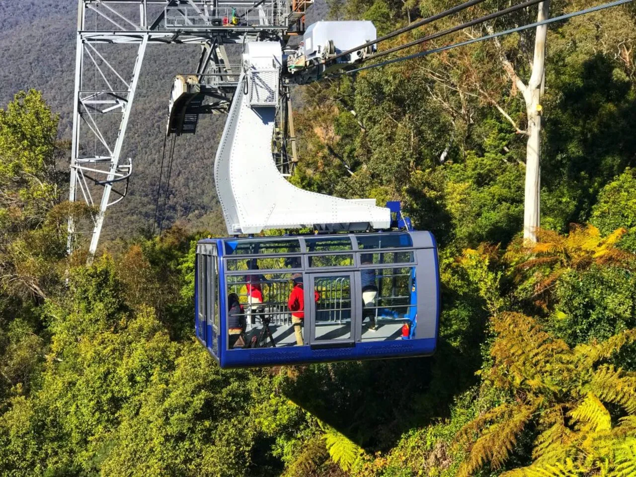 Blue Mountains Scenic World & Tour with Transfers | Experience Oz-6