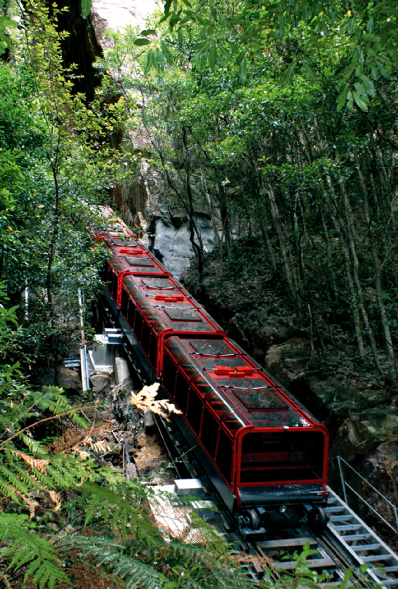 Blue Mountains Scenic World & Tour with Transfers | Experience Oz-2