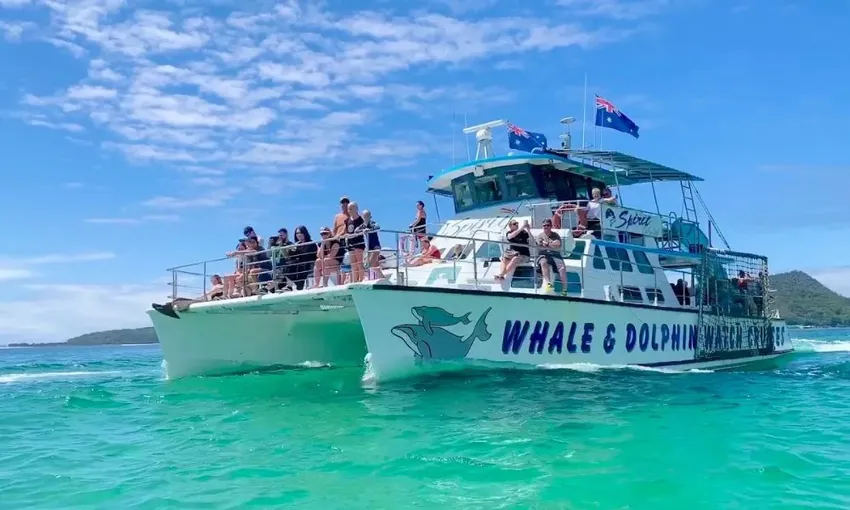 Splash and Slide Dolphin Cruise, 2 Hours - Port Stephens