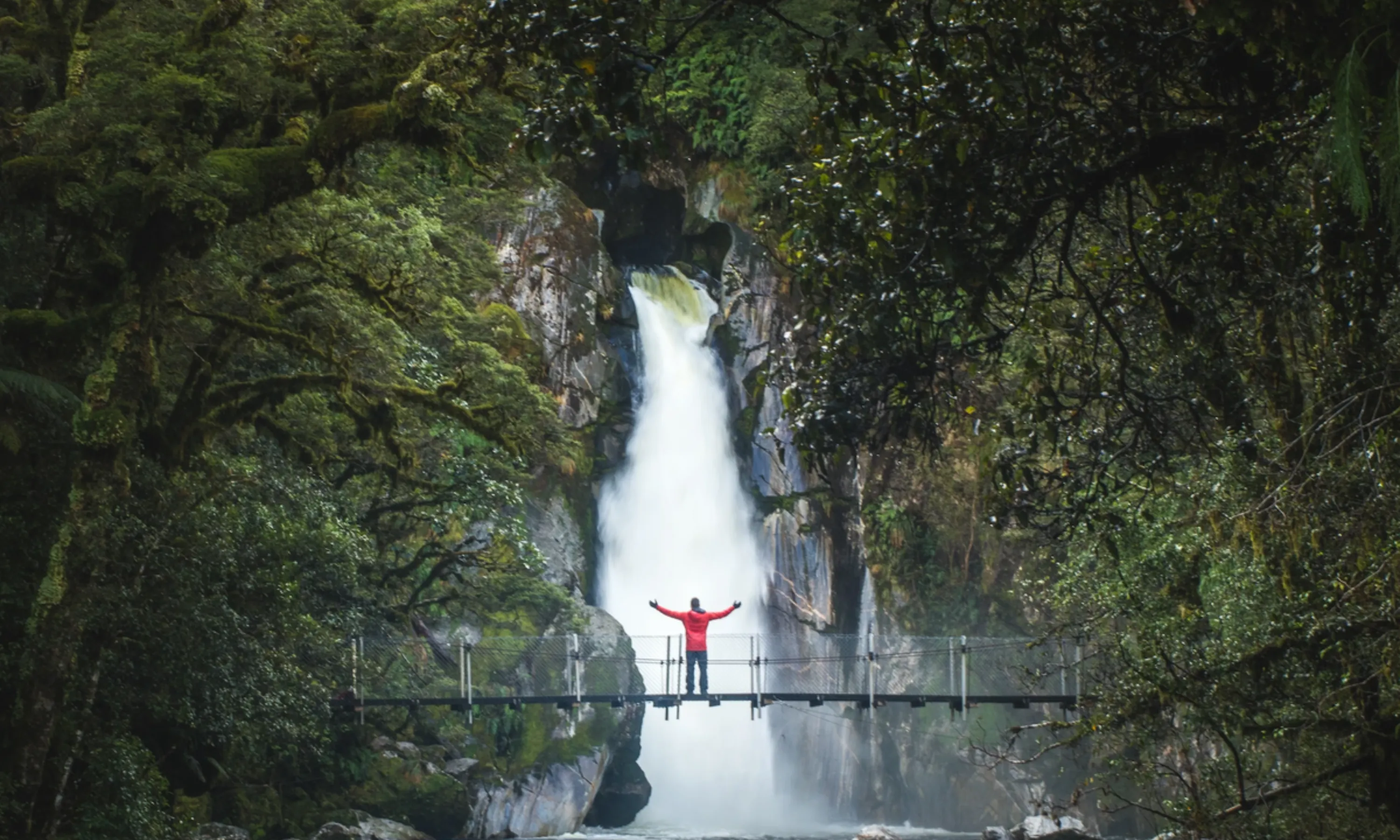 Milford Sound Cruise & Track Walk - Full Day | Experience Oz + NZ-2