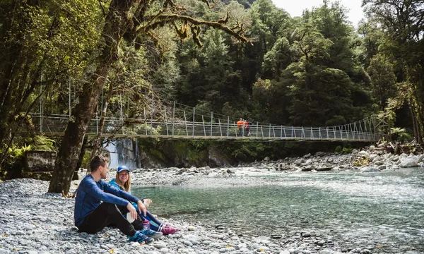 Milford Sound Cruise and Milford Track Walk - Full Day