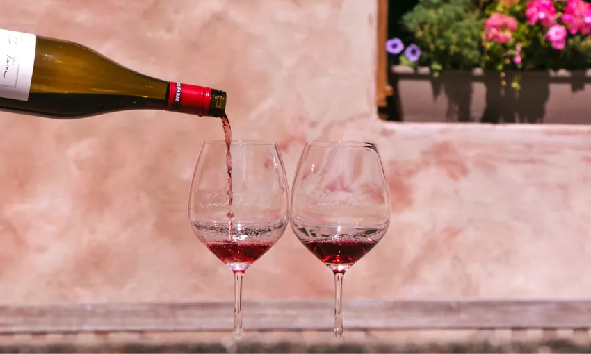 Queenstown Wine Tour & Lunch - Half Day | Experience Oz + NZ