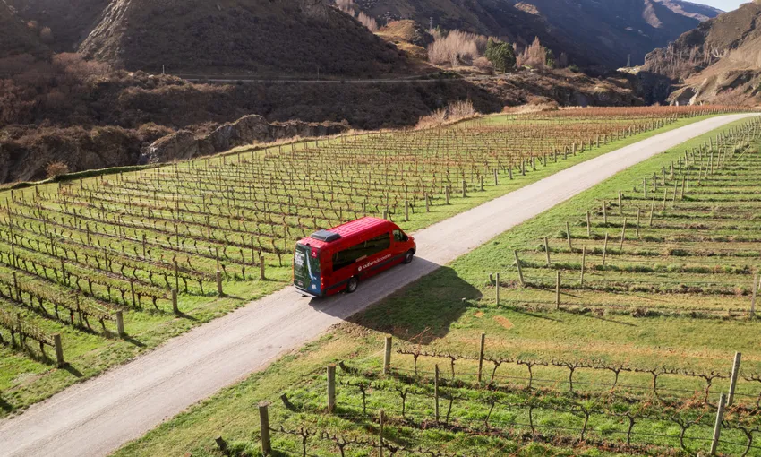 Queenstown Wine Tour & Lunch - Half Day | Experience Oz + NZ
