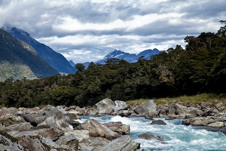 Waiatoto River Jet Boat and Forest Walk - 3 Hours | Experience Oz + NZ