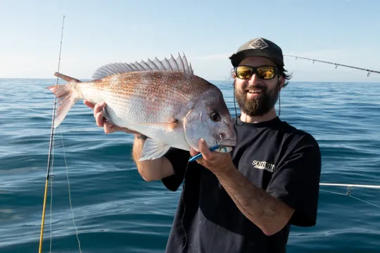 Offshore Fishing Charter, Half Day - Sorrento