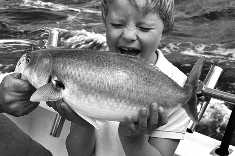 Offshore Fishing Charter, Half Day - Sorrento