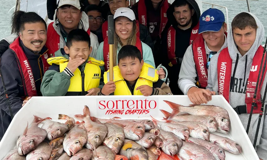 Offshore Fishing Charter, Half Day - Sorrento