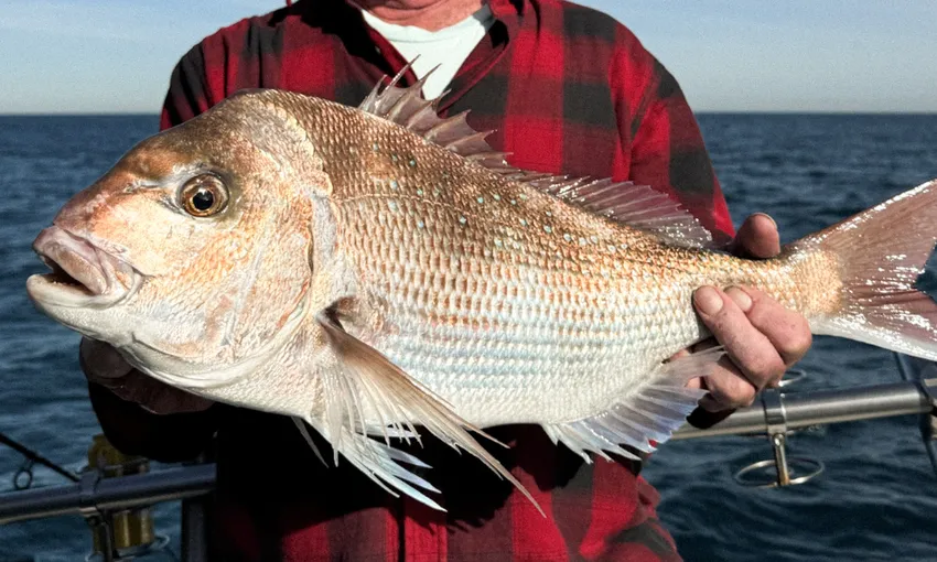 Offshore Fishing Charter, Half Day - Sorrento