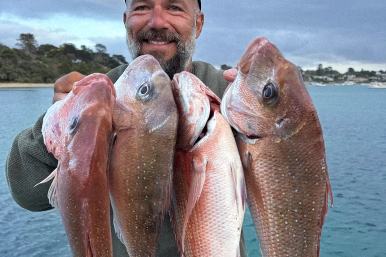Offshore Fishing Charter, Half Day - Sorrento