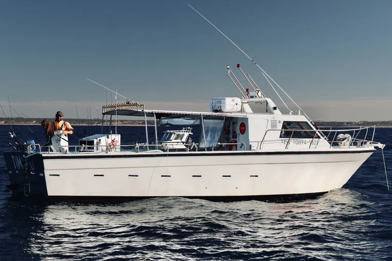 Sorrento Offshore Fishing Charter - Half Day | Experience Oz