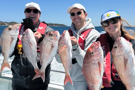 Sorrento Offshore Fishing Charter - Half Day