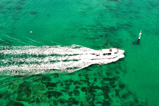 Sorrento Offshore Fishing Charter - Half Day