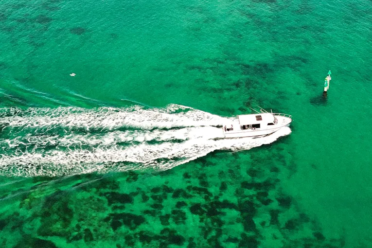 Sorrento Offshore Fishing Charter - Half Day | Experience Oz