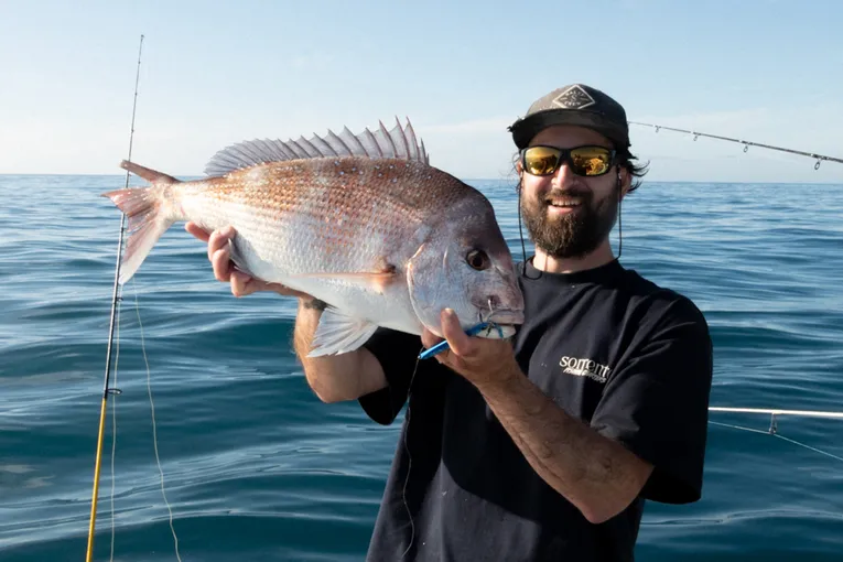 Sorrento Offshore Fishing Charter - Half Day | Experience Oz