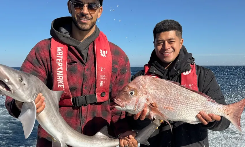 Sorrento Offshore Fishing Charter - Half Day | Experience Oz