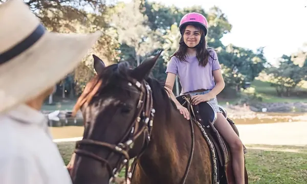 Gold Coast Peruvian Paso Horse Riding Lesson – 30 Minutes