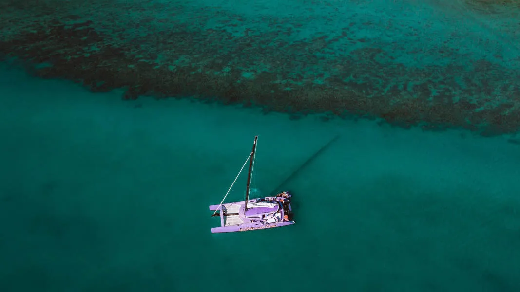 Airlie Beach Sunset Sailing Cruise - Book Now | Experience Oz-6