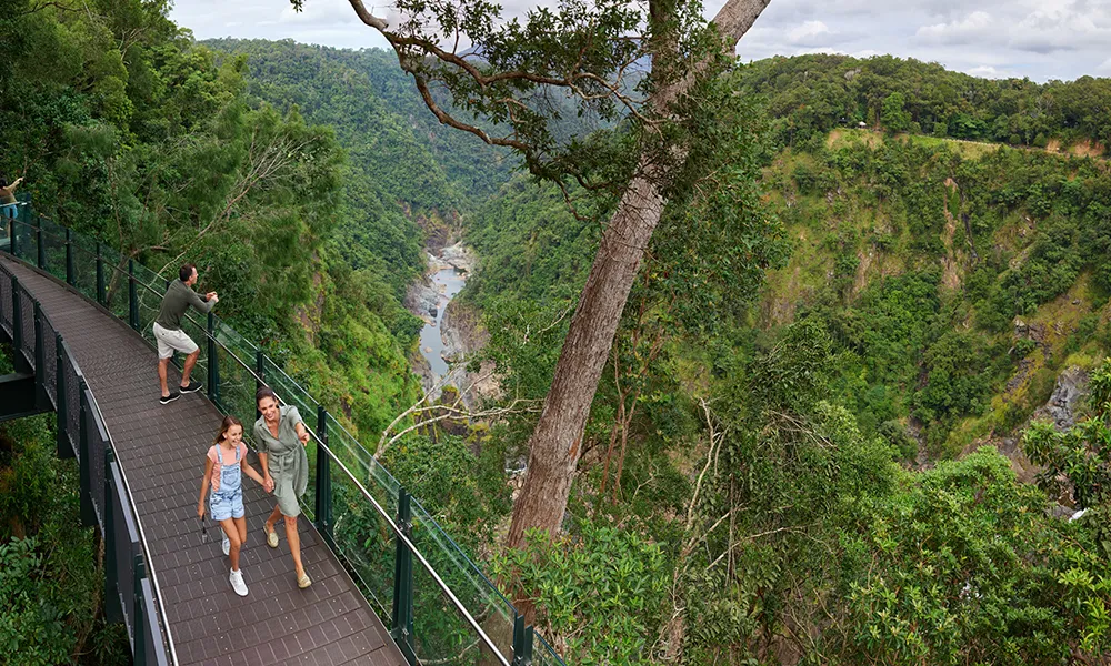 Kuranda Skyrail Loop, Train & Cairns Pick Up | Experience Oz-6