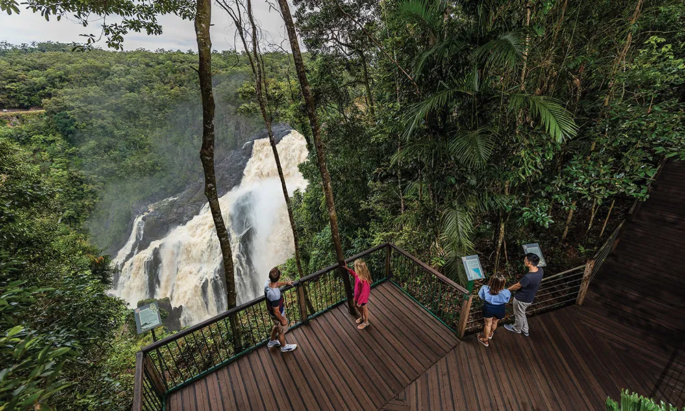 Kuranda Skyrail Loop, Train & Cairns Pick Up | Experience Oz-7