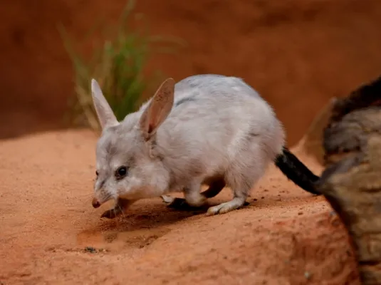 5 Day Dreamworld, WhiteWater World, SkyPoint Pass | Experience Oz-10