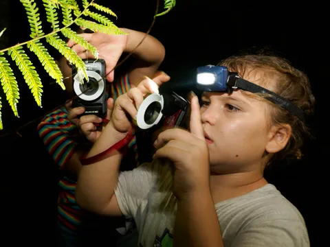Cairns Botanic Gardens Night Walk Adventure - 60 Minutes