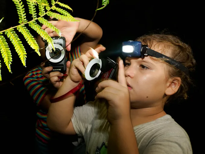 Cairns Botanic Gardens Night Walk - 1 Hour | Experience Oz