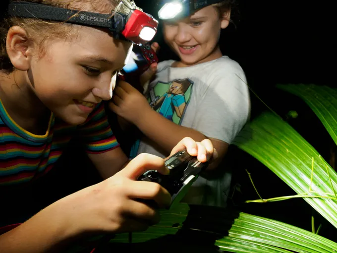 Cairns Botanic Gardens Night Walk - 1 Hour | Experience Oz