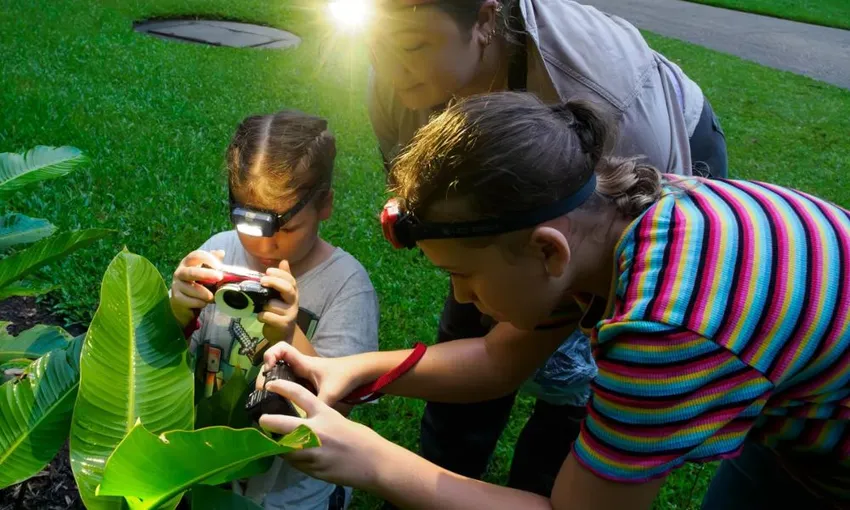Cairns Botanic Gardens Night Walk - 1 Hour | Experience Oz