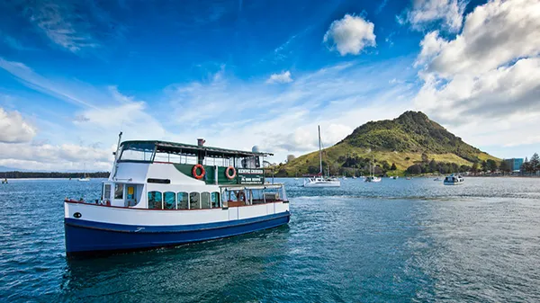 Tauranga Harbour Scenic Cruise & Optional Hop Off - 1 Hour