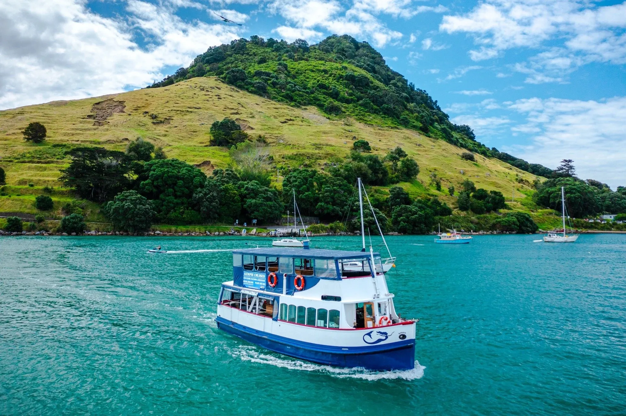 Tauranga Harbour Scenic Cruise - 1 Hour | Experience Oz + NZ-2