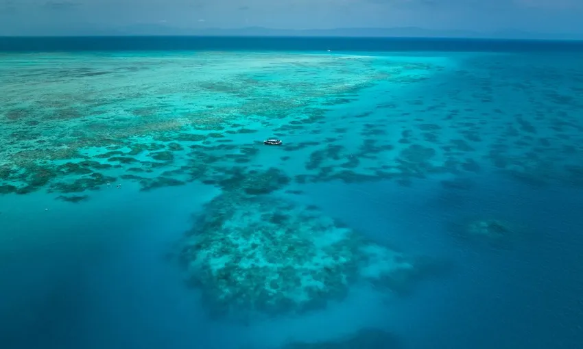 Scenic Flight, Boat & Snorkel, Half Day - Great Barrier Reef