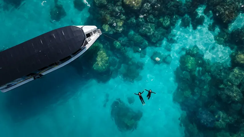 Scenic Flight, Boat & Snorkel, Half Day - Great Barrier Reef