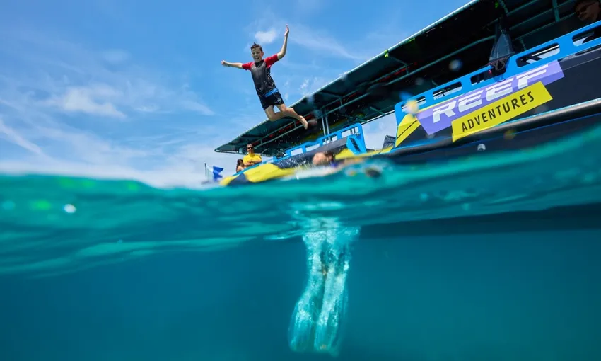 Scenic Flight, Boat & Snorkel, Half Day - Great Barrier Reef