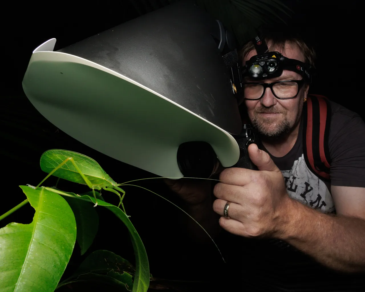 Cairns Premium Night Nature Walk - 60 Minutes | Experience Oz-1