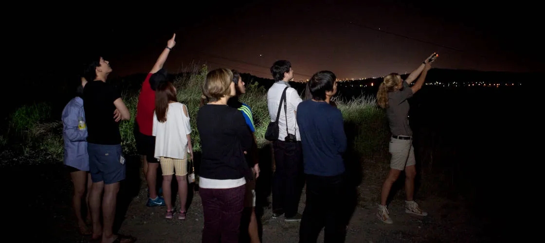 Gold Coast Glow Worm Tour - Book Now | Experience Oz-4