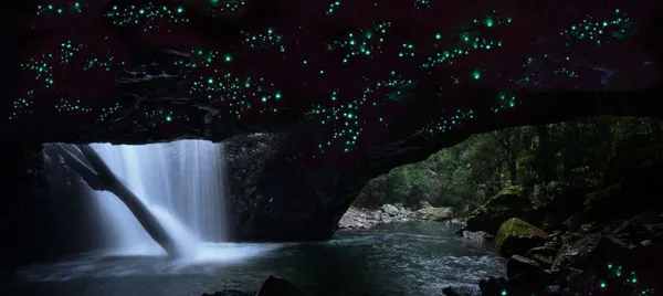 Natural Bridge Glow Worm Tour
