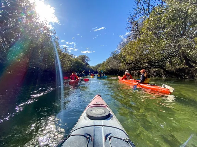 Adelaide Dolphin Kayaking Tour | Experience Oz