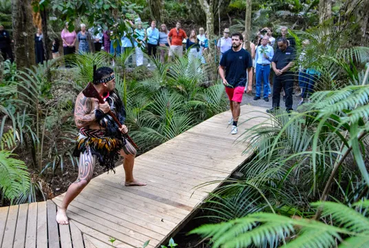 Cultural Experience & Hangi Dinner with Day Admission