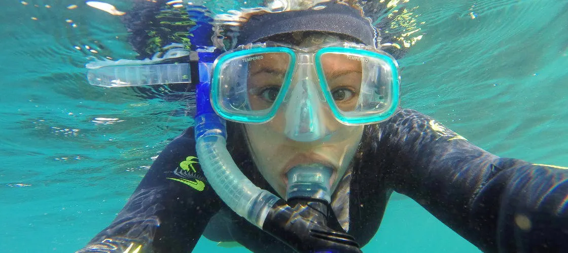 Seal Swim, Kaikoura | Everything New Zealand-4