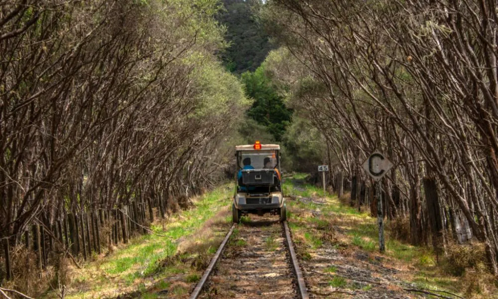 Forgotten World Adventures Taupo | Everything New Zealand-2