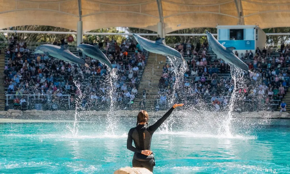 5 Day Theme Park Pass Gold Coast – Movie World, Sea World & Wet’n’Wild & Paradise Country -3